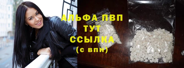 стаф Горно-Алтайск