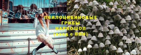 стаф Горно-Алтайск