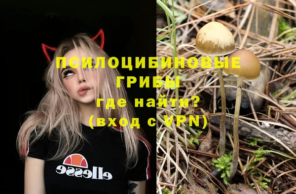 меф Горнозаводск