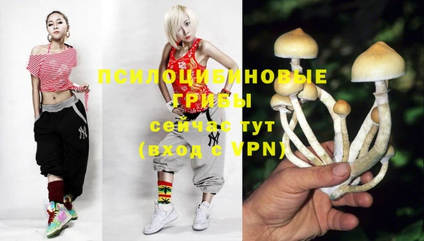 меф Горнозаводск