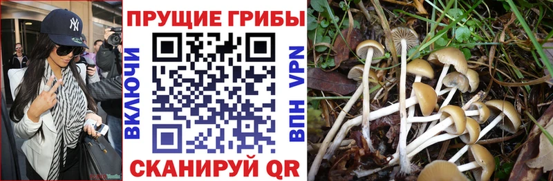 Псилоцибиновые грибы MAGIC MUSHROOMS Белоозёрский