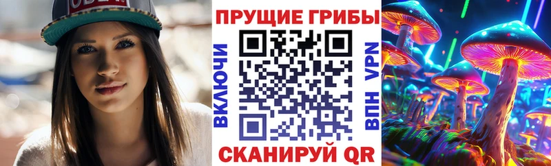 Купить закладки Белоозёрский Галлюциногенные грибы Magic Shrooms